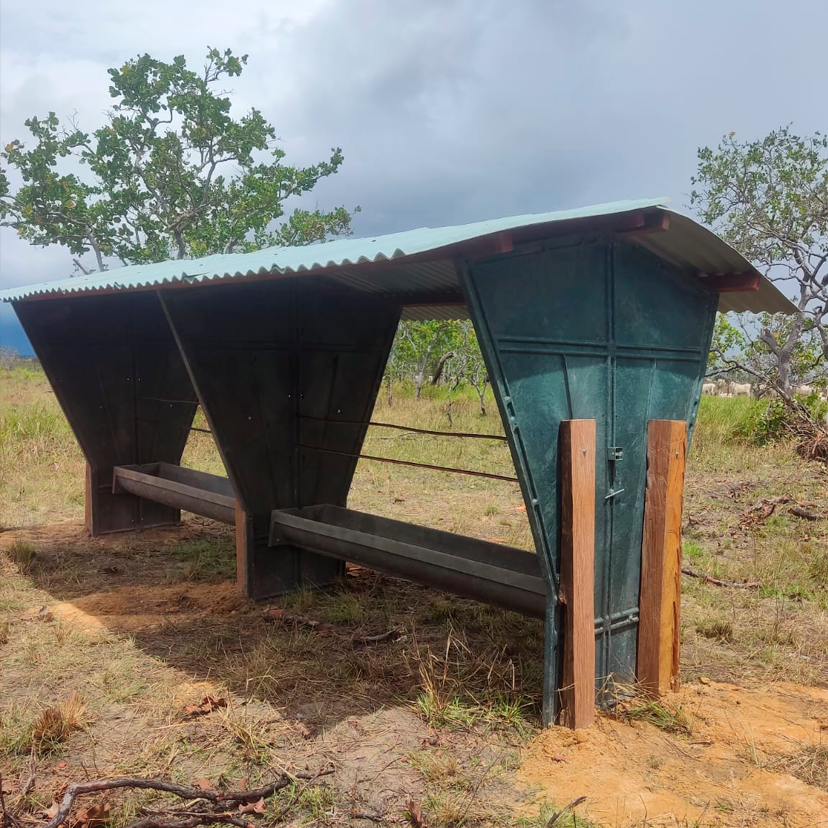 alt="Cocho-para-gado"