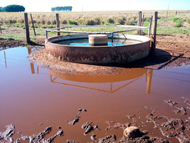 Bebedouros Alagados alt="bebedouros-alagados"