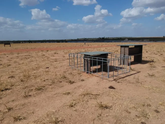 creep feeding alt="creep feeding"