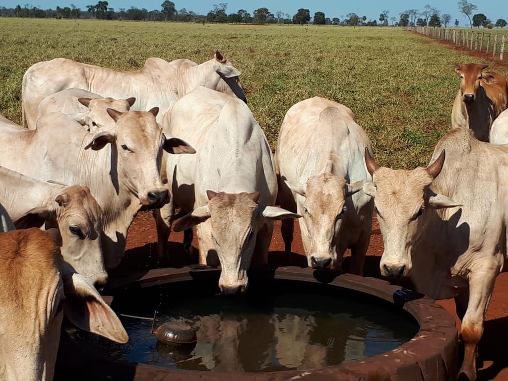 alt="problema-de-Falta-de-Acesso-ou-número-Insuficiente-de-bebedouros"